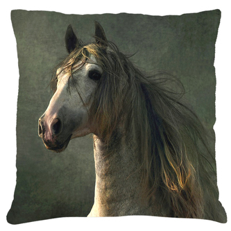 Polštář s motivem koně 22  Mybesthome 40x40 cm Polštář s motivem koně 22  Mybesthome 40x40 cm