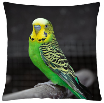 Polštář animal 64 - ANDULKA Mybesthome 40x40 cm