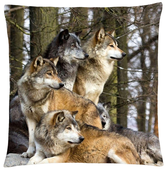 Polštář s vlkem 26 Mybesthome 40x40 cm Polštář s vlkem 26 Mybesthome 40x40 cm