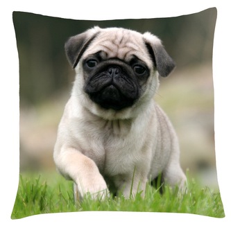 Polštář s motivem psa 27 mopsík, Mybesthome 40x40 cm