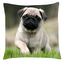 Polštář s motivem psa 27 mopsík, Mybesthome 40x40 cm