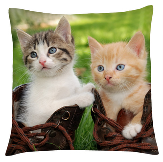 Polštář s motivem kočky 04 Mybesthome 40x40 cm