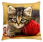 Polštář s motivem kočky 06 Mybesthome 40x40 cm