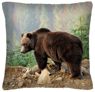 Polštář animal 14 - MEDVĚD  Mybesthome 40x40 cm