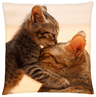 Polštář s motivem kočky 30 Mybesthome 40x40 cm Polštář s motivem kočky 30 Mybesthome 40x40 cm