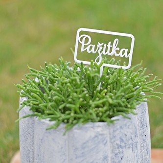 Zápich - Pažitka
