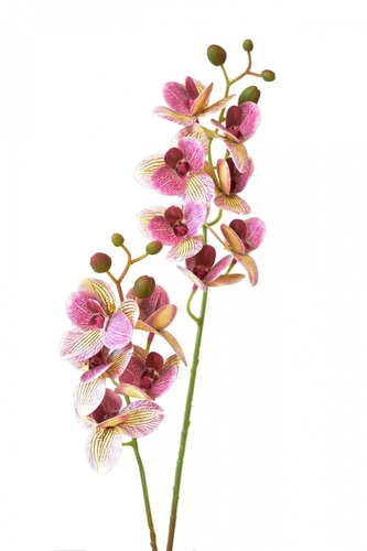 Umělá orchidej 58,5 cm, tmavě růžová