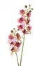 Umělá orchidej 58,5 cm, tmavě růžová