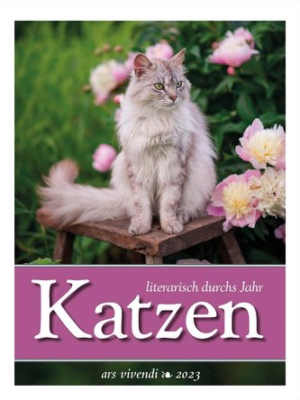 Katzen - literarisch durchs Jahr 2023