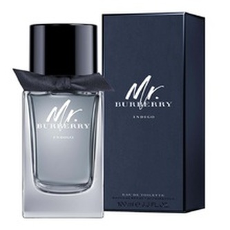 Burberry Mr. Burberry Indigo Toaletní voda 30 ml pro muže