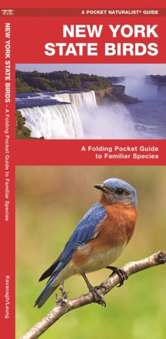 New York State Birds
