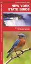 New York State Birds
