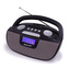 PORTABLE FM RADIO WITH USB / SD, AUX-IN AND HEADPHONES OUT., RU-275BK
