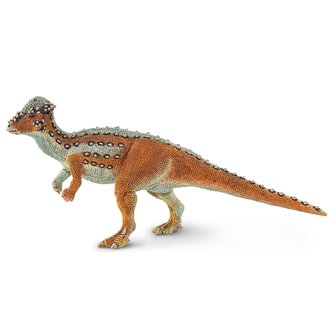 Pachycephalosaurus