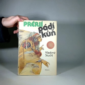 Prérií pádí kůň