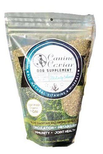 Canine Caviar Kelpa sušená na slunci 680g