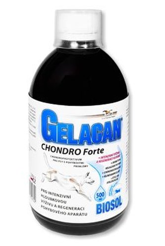 Gelacan Chondro Forte Biosol 500ml Gelacan Chondro Forte Biosol 500ml