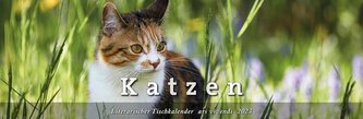 Tischkalender Katzen 2023