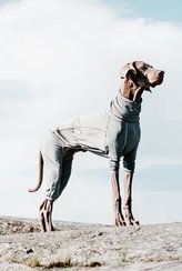 Obleček Hurtta Body Warmer šedý 55M