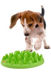 Miska interaktivní MINI 29x22,5x7 KAR