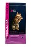 Eukanuba Cat Kitten Healthy Start Chicken 4kg