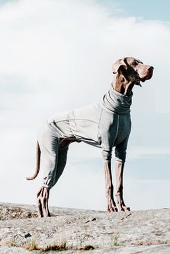 Obleček Hurtta Body Warmer šedý 45M