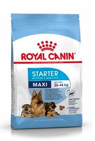 Royal Canin Maxi Starter 4kg