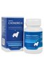 Roboran Chondro 6 pro psy  60tbl