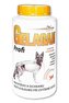 Gelacan Plus Profi 1000g