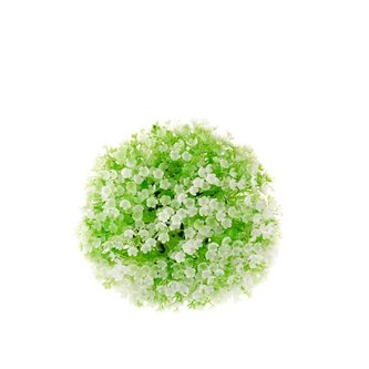 Buxus s bílou kytičkou, 0/200