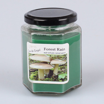 Vonná svíčka - Forest rain, 0/32