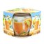 Svíčka vonná dekorativní Peach Bellini 70g