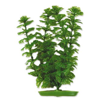 Rostlina LIVING WORLD Ambulia 30 cm