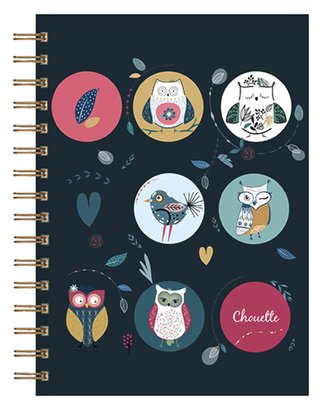 SEŠIT CARA538L01 SOVY - CHOUETTES