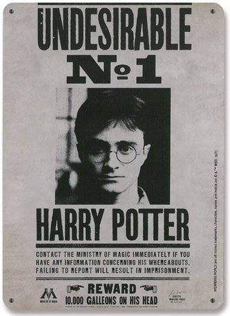Dekorační cedule na zeď Harry Potter: Undesirable No.1 (15 x 21 cm)