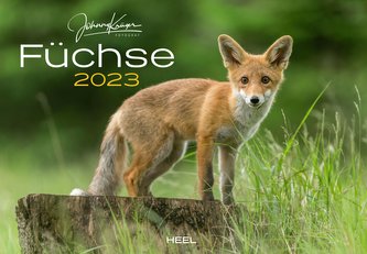 Füchse 2023