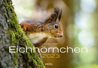 Eichhörnchen 2023