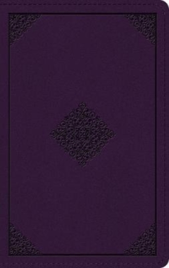 ESV Large Print Personal Size Bible