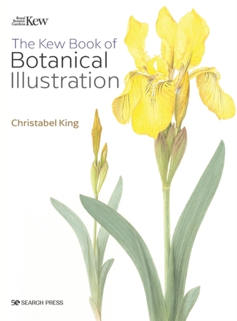 The Kew Book of Botanical Illustration (paperback edition) The Kew Book of Botanical Illustration (paperback edition)