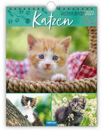 Wochenkalender "Katzen" 2023