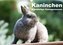 Kaninchen - knuddelige Hausgenossen (Wandkalender 2023 DIN A3 quer)