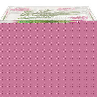 XX Revolution Tvářenka Botanical Wallflower (Cream Blusher) 6,5 g Odstín Foxhole Lane woman