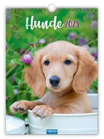 Classickalender "Hunde" 2023