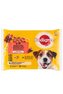 Pedigree kapsa jehněčí a kuřecí v želé 4x100g