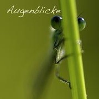 Augenblicke