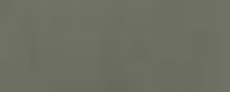 Křídové barvy Ambiente 250ml – Olive 7