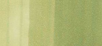 Copic sketch marker – G21 lime green