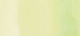 Copic sketch marker – G40 dim green