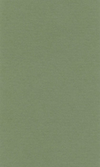 Barevný papír Lana 70x100cm - 13 sap green