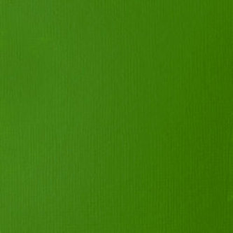 Akrylová barva Basics 946ml – 312 light green permanent